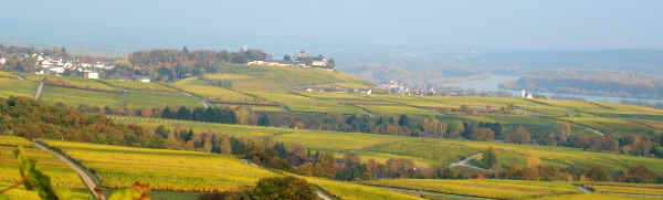 Web-Rheingau.JPG (56417 Byte)